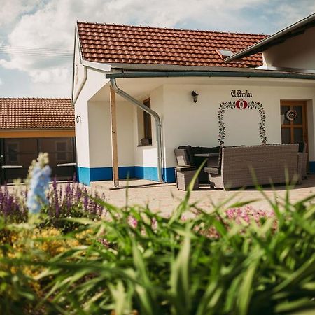 Apartmán U Drába: ubytování na Slovácku v Miloticích u Kyjova Milotice Exteriér fotografie