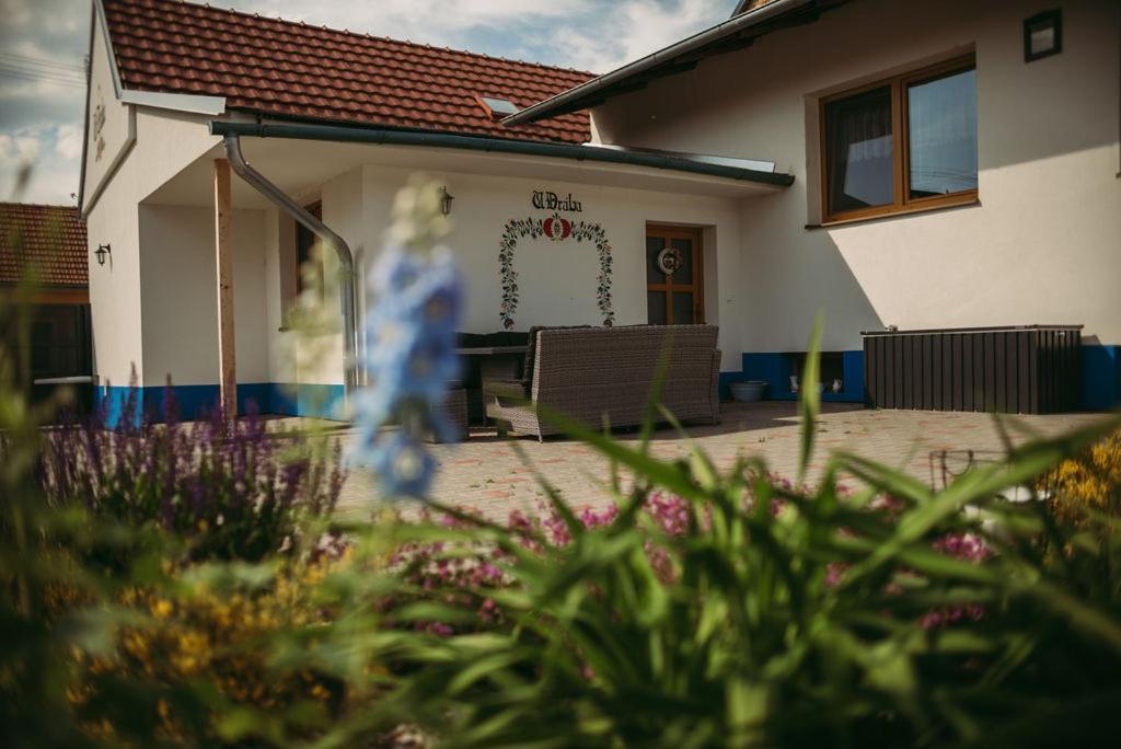 Apartmán U Drába: ubytování na Slovácku v Miloticích u Kyjova Milotice Exteriér fotografie