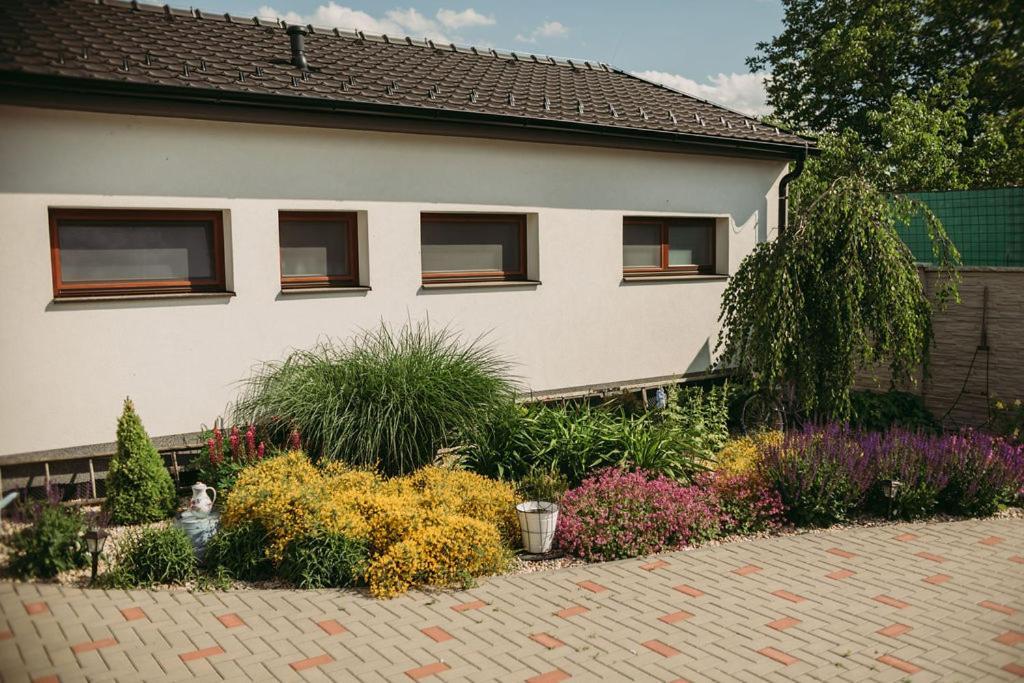 Apartmán U Drába: ubytování na Slovácku v Miloticích u Kyjova Milotice Exteriér fotografie